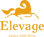 Elevage d`Akhal