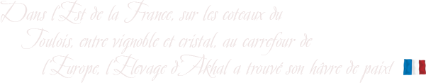 Dans l’Est de la France, sur les coteaux du Toulois, entre vignoble et cristal, au carrefour de l’Europe, l’ELEVAGE D'AKHAL a trouvé son havre de paix!